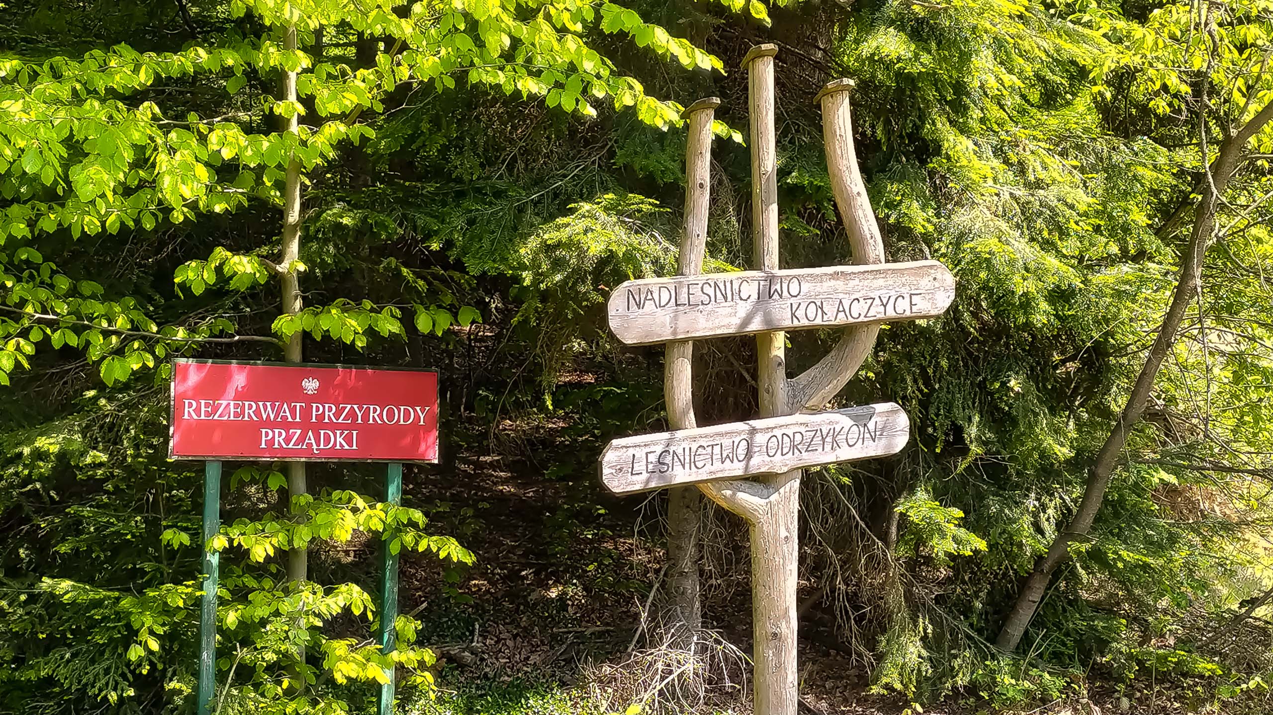 IMG 20200510 113200 kopia